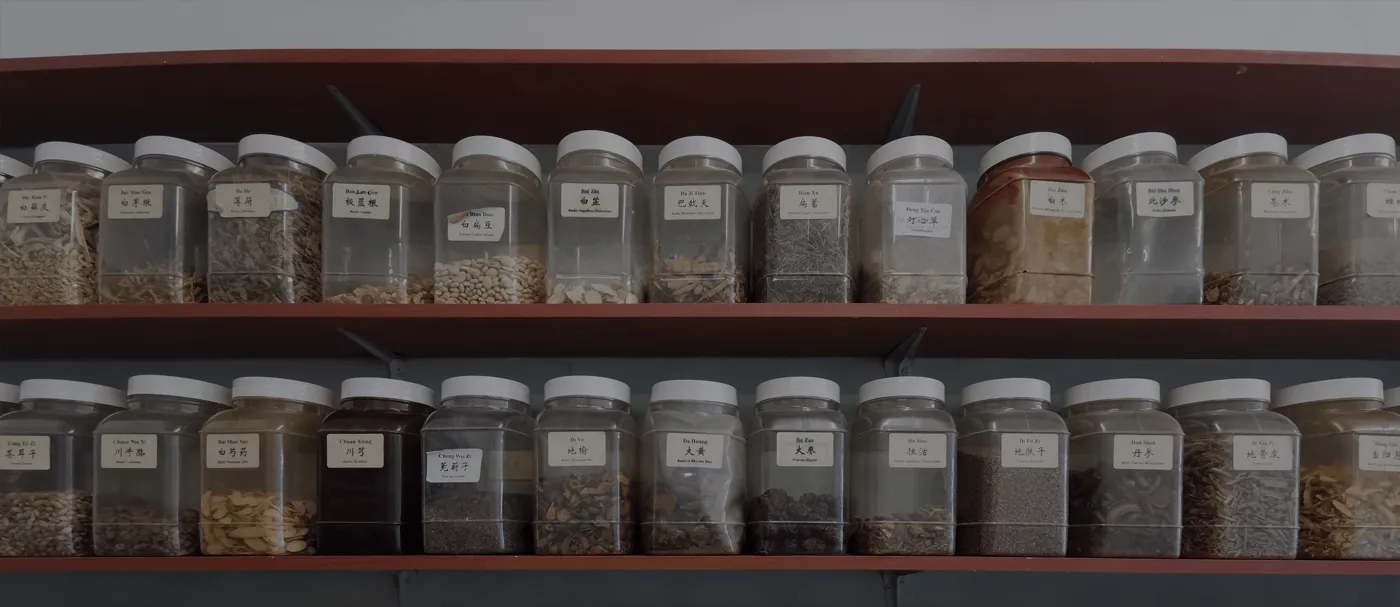 The Chinese herb dispensary at Herbs Song